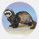 Search for ferret stickers Polecat
