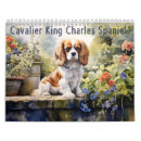 Search for cavalier king charles spaniel office supplies Puppies