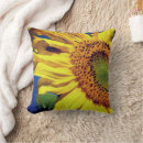 Search for insect cushions Photography