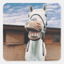 Search for horse picture stickers Cowboy