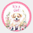 Search for baby shower its a girl stickers Flowers