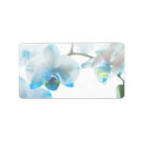 Search for blue orchid return address labels Orchids