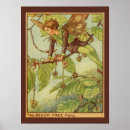 Search for beech Illustration