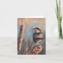 Search for marsh cards Wildlife