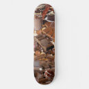 Search for chocolates skateboards Sweets