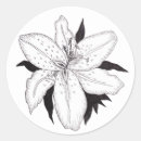 Search for white lily stickers Black and white