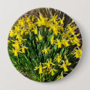 Search for daffodil badges Yellow