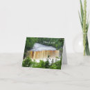 Search for upper cards Photography