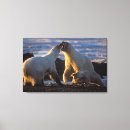 Search for coastal plain art Alaska