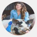 Search for swine stickers Pig