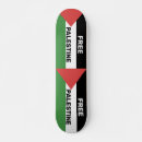 Search for free skateboards Flag