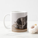 Search for sleepy cat mugs Grey