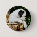 Search for basket badges Puppy
