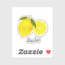 Search for citrus fruit stickers Watercolor