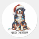 Search for australian shepherd dog stickers Puppy