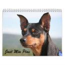 Search for hound dog calendars Cute