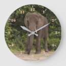 Search for elephant clocks Wild animal