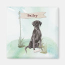 Search for black lab magnets Labrador