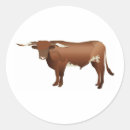 Search for beef cattle stickers Farm