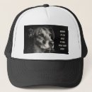 Search for pets hats Quote