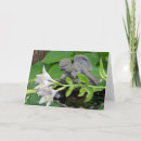 Search for on loss of baby sympathy cards Flowers