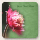 Search for macro coasters Flowers