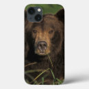 Search for ursus arctos electronics Bear