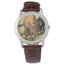 Search for colorado watches Nature
