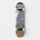 Search for dust skateboards Space