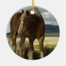 Search for equine christmas tree decorations Snow