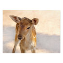 Search for fawn posters Reindeer