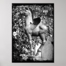 Search for white pegasus posters Photography