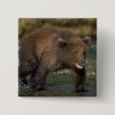 Search for grizzly badges Usa