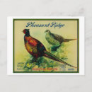 Search for pheasant postcards Lantern
