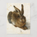 Search for vintage rabbit postcards Nature