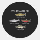 Search for salmon fish stickers Trout