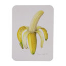 Search for peel magnets Yellow