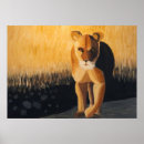 Search for lioness art White