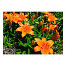 Search for beautiful spring posters Vibrant