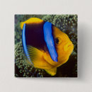 Search for barrier badges Ocean