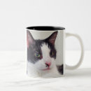 Search for good book mugs Cat