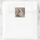 Search for chihuahua puppies stickers Puppy
