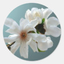 Search for red graduation stickers Blue