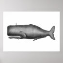 Search for vintage whale posters Sea