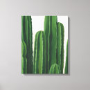 Search for cactus art Green