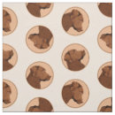 Search for labrador fabric Retriever