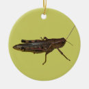 Search for grasshopper christmas tree decorations Bug