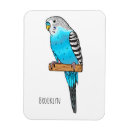 Search for illustration magnets Bird