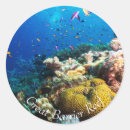 Search for barrier stickers Coral