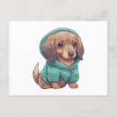 Search for dachshund puppy postcards Animal